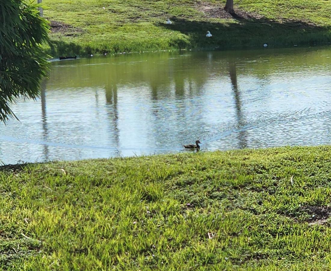 Quails Nest Hotell Cape Coral Eksteriør bilde